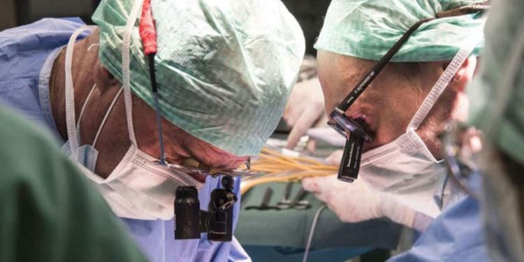 Trasplantan por primera vez en la historia un hígado humano conservado fuera del cuerpo durante 3 días