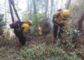 Tres departamentos son los más afectados por incendios forestales en el país, según CONRED