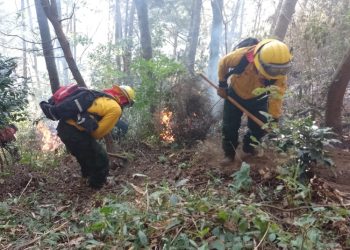 Tres departamentos son los más afectados por incendios forestales en el paí­s, según CONRED