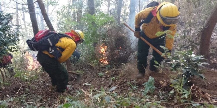 Tres departamentos son los más afectados por incendios forestales en el paí­s, según CONRED