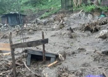 Tres menores fallecidos y 479 personas afectadas es el saldo por lluvias de las últimas horas