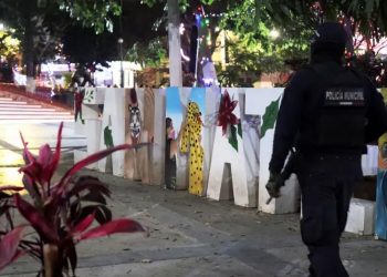 Trump dice que México está 'gobernado por los carteles'