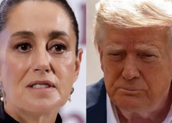 Trump necesita información sobre lucha antidrogas de México