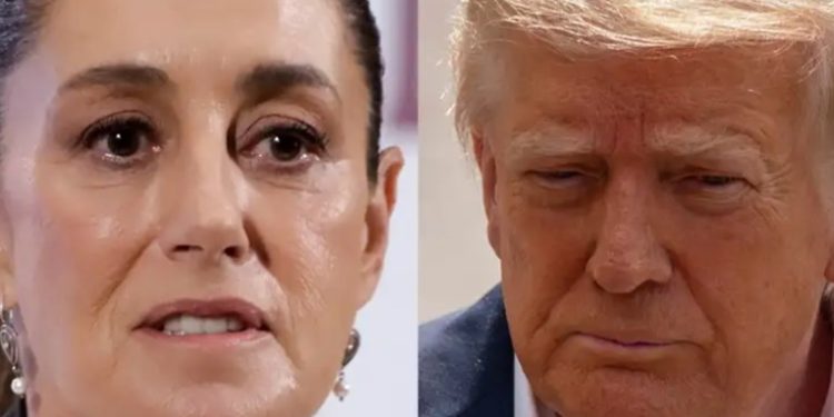 Trump necesita información sobre lucha antidrogas de México