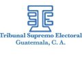 TSE cancela los partidos políticos Mi País y Partido Liberal de Guatemala