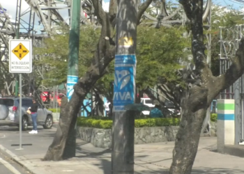 TSE sancionará a partidos polí­ticos que utilicen postes para hacer propaganda electoral