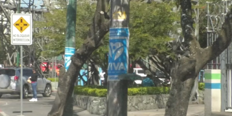 TSE sancionará a partidos polí­ticos que utilicen postes para hacer propaganda electoral