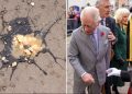 Un hombre arroja huevos al rey Carlos III y a su esposa Camila (VIDEO)