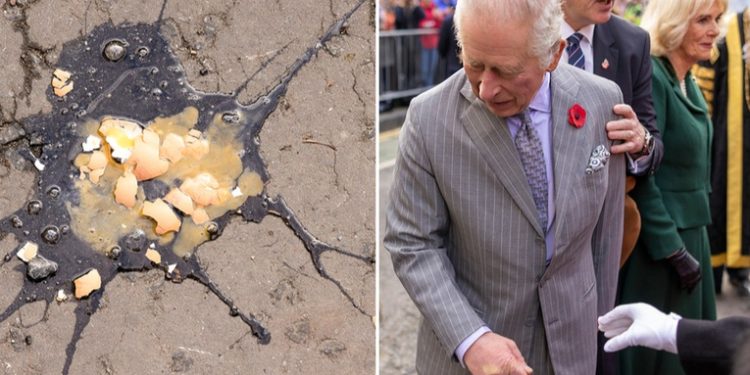 Un hombre arroja huevos al rey Carlos III y a su esposa Camila (VIDEO)