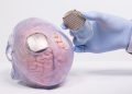Un rival de Neuralink completa el primer implante humano de interfaz cerebro-ordenador en EE.UU.
