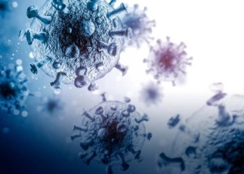 Un virus poco conocido avanza y deja decenas de muertos en la India