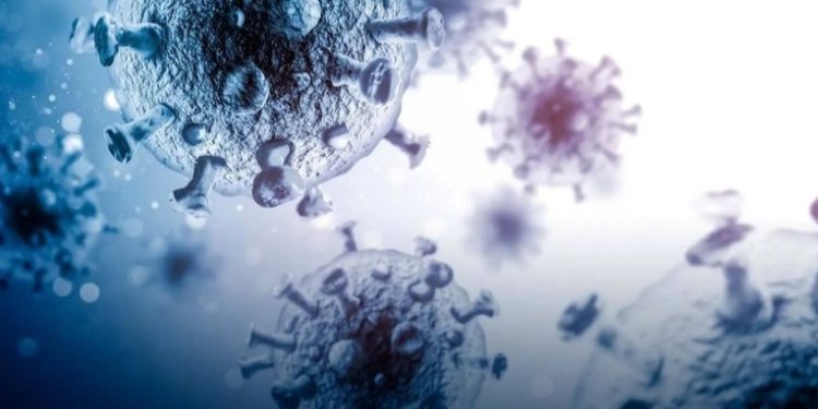 Un virus poco conocido avanza y deja decenas de muertos en la India