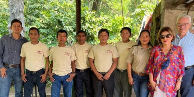 Una finca de cacao ubica a Guatemala en la cima internacional
