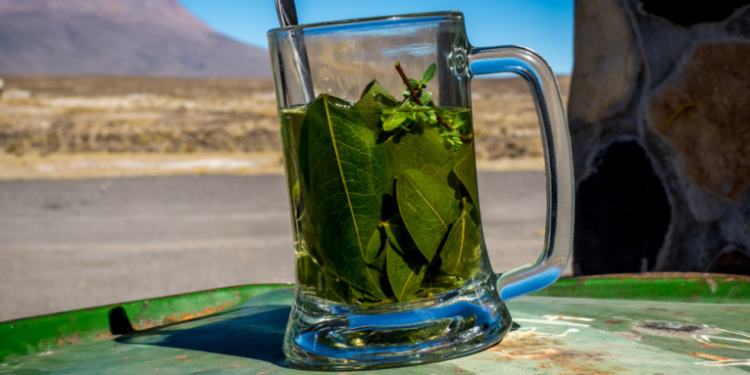 Una líder indígena que fabrica productos de hoja de coca en Colombia denuncia que Coca-Cola le quiere prohibir el nombre de su marca