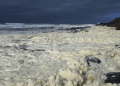 Una misteriosa espuma enferma a más de 100 surfistas