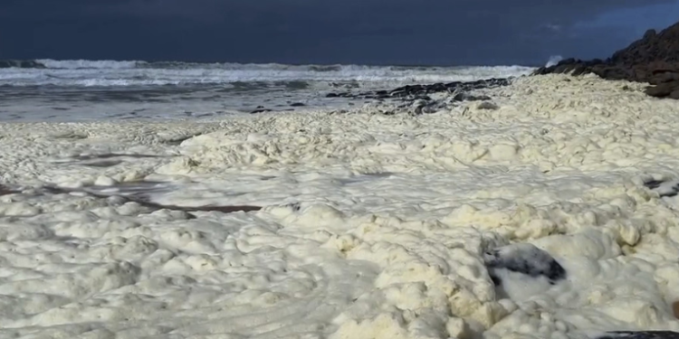 Una misteriosa espuma enferma a más de 100 surfistas