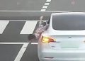Una niña cae por la ventanilla de un auto y se queda en medio de una carretera en China (VIDEO)