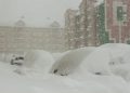 Una niña desaparecida en medio de una tormenta de nieve pasa una noche en la caseta de un perro abrazada al animal