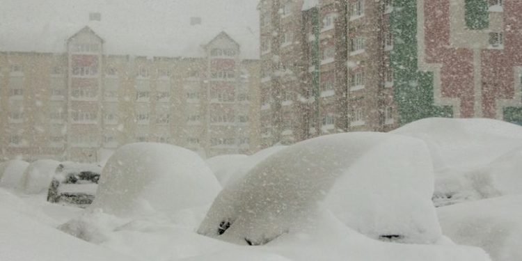 Una niña desaparecida en medio de una tormenta de nieve pasa una noche en la caseta de un perro abrazada al animal