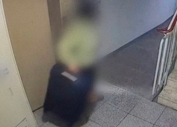 Una surcoreana asesina y mutila a su víctima porque tenía curiosidad por matar