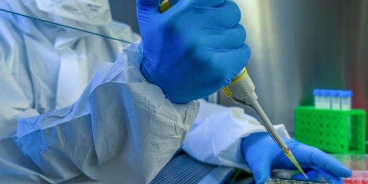 Una vacuna experimental de ARN consigue resultados