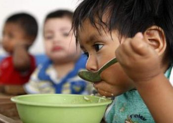 Uno de cada dos niños padece de desnutrición crónica en el paí­s