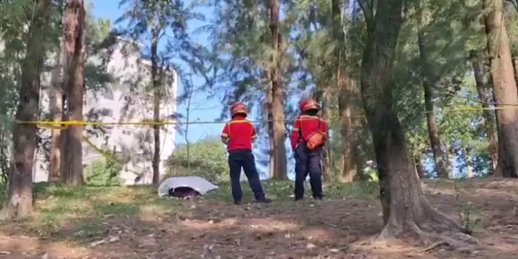 Vecinos descubren cadáver de una mujer en área boscosa de la zona 13 capitalina