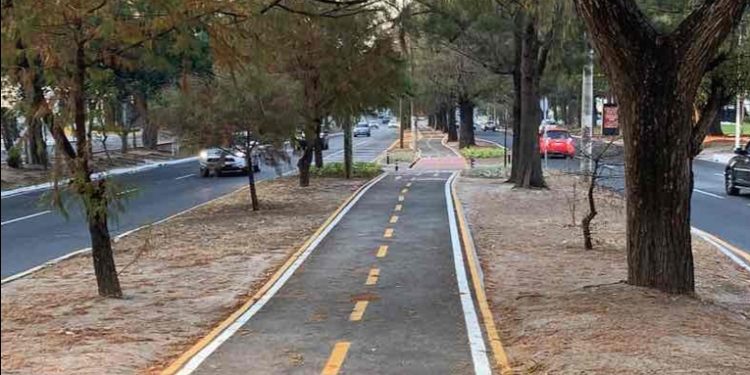 VíDEO: Queda grabado asalto frustrado en zona 15 capital