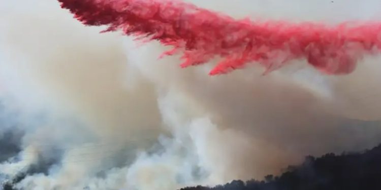 Vientos reavivan incendios en Los Ángeles, 16 desaparecido