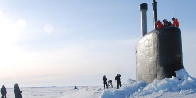 Zoólogo estadounidense llama a EE.UU. a abandonar sus reclamaciones en el Ártico