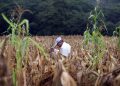 Daños por lluvia en Guatemala