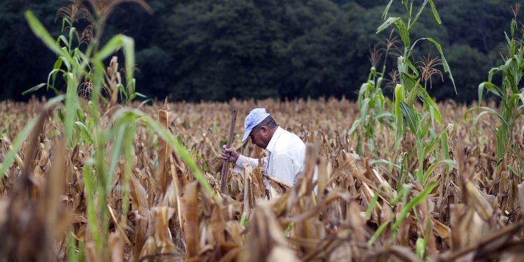 Daños por lluvia en Guatemala