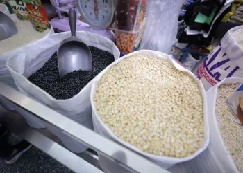 Maíz blanco en Guatemala