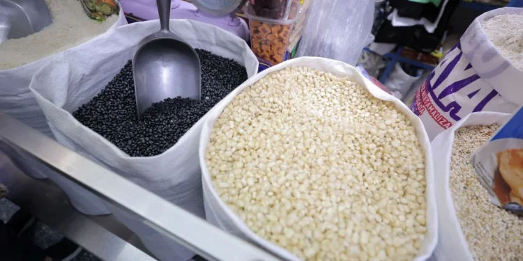 Maíz blanco en Guatemala