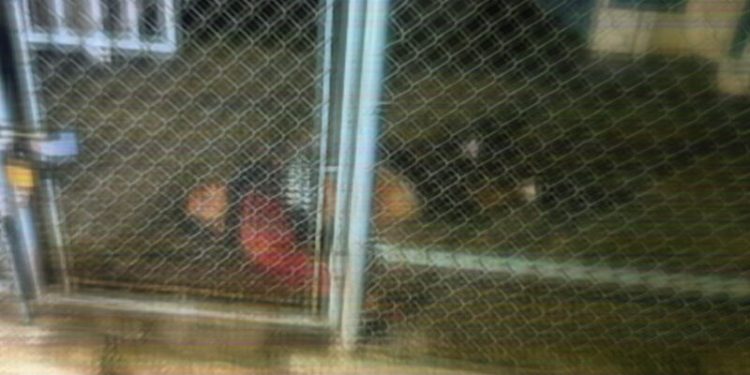 Pandillero asesinado en Pavoncito