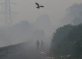 Niebla tóxica en la India