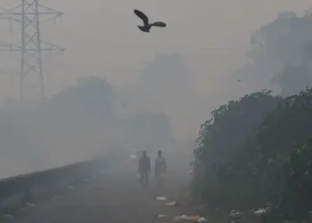 Niebla tóxica en la India