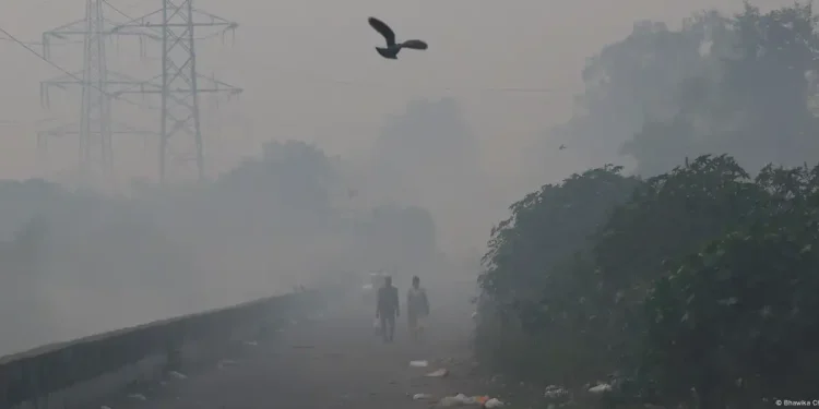 Niebla tóxica en la India