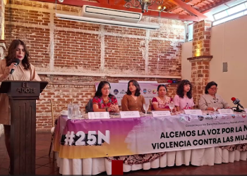 Investigación violencia contra mujeres
