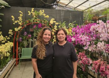 Orquídeas SyM 30 años