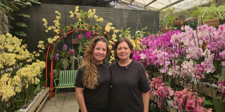 Orquídeas SyM 30 años