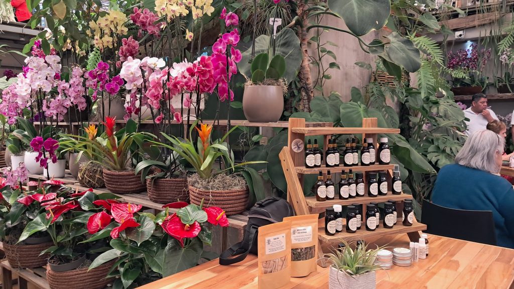 Orquídeas SyM 30 años