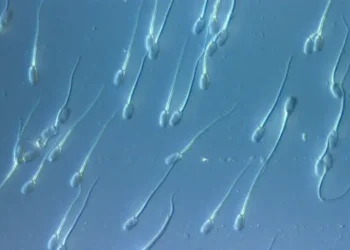 Donante con mutación cancerígena