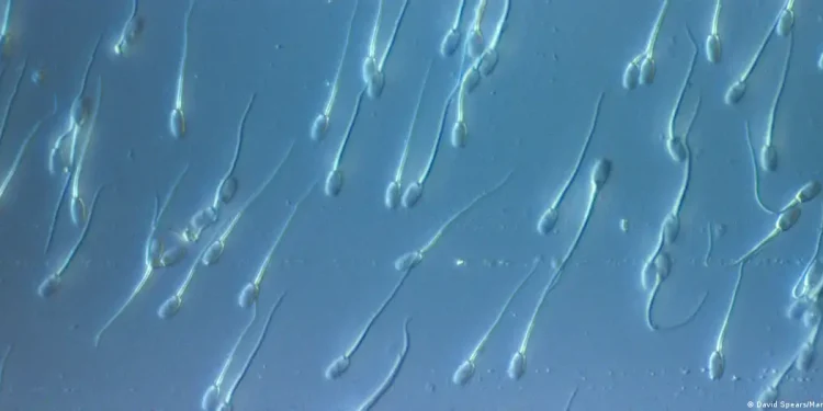 Donante con mutación cancerígena