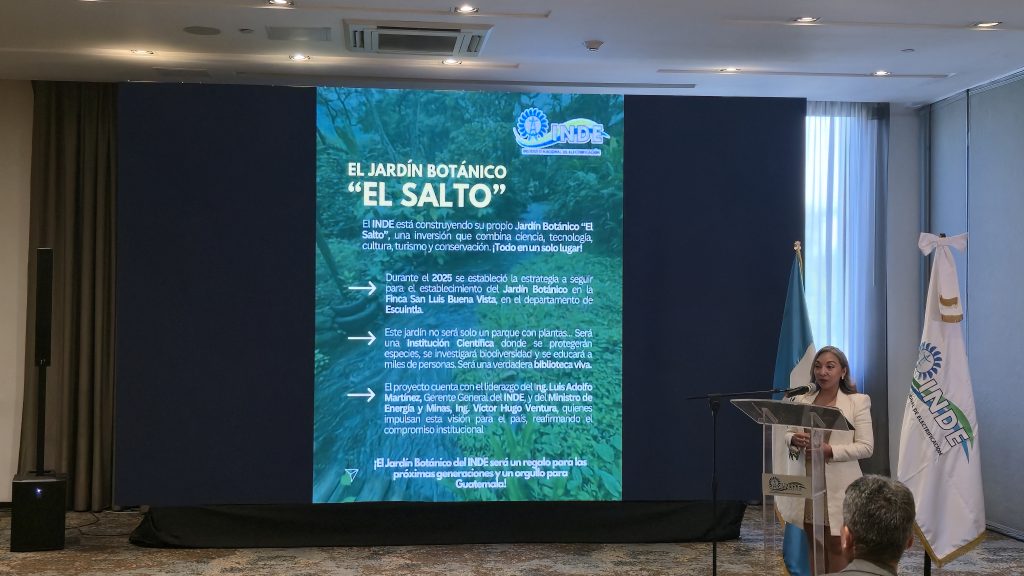 INDE resultados 2025