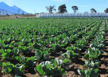 Alerta por frente frío