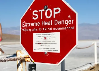 Año más cálido registrado