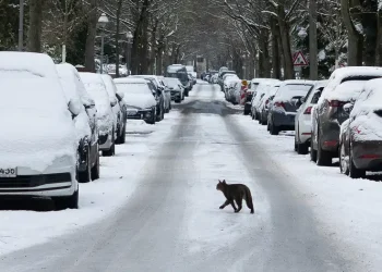 Ola de frío en Europa