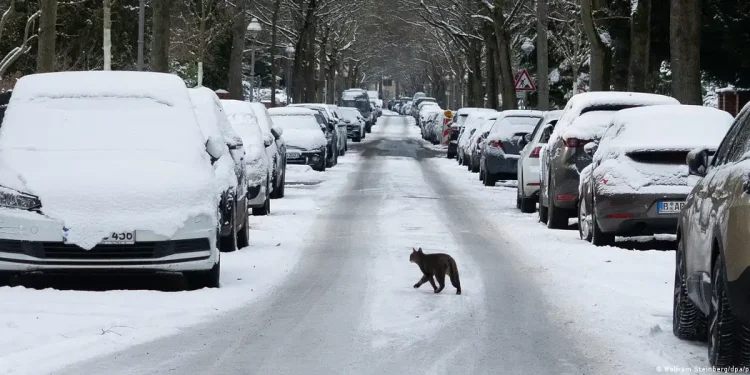 Ola de frío en Europa