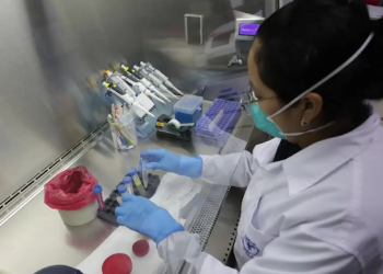 Casos de sarampión en Guatemala